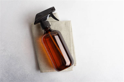 Glass Spray Bottle